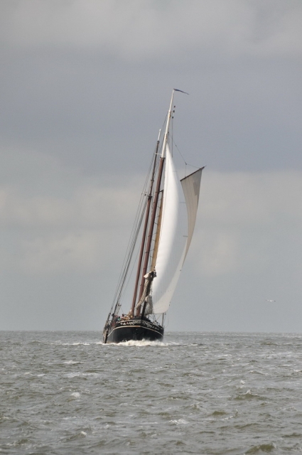 20120802_161657_DSC_8504