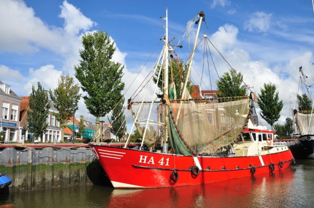 20120802_171921_DSC_8532