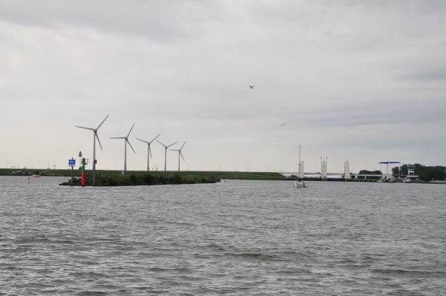 20120805_120144_DSC_8959