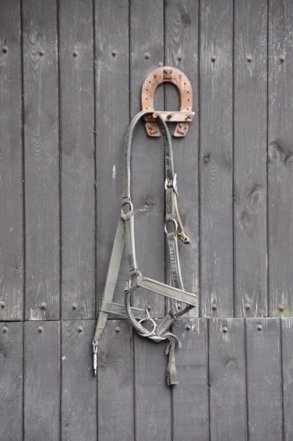 20121103_111102_DSC_0297