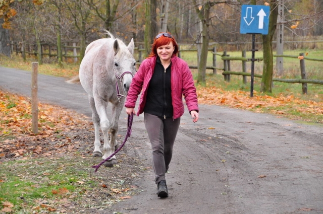 20121103_112202_DSC_0311