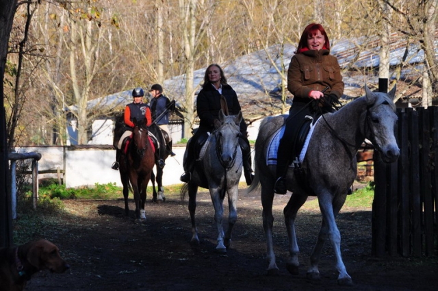 20121103_133246_DSC_0642