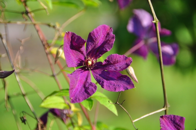 20090629_173959_DSC_0929